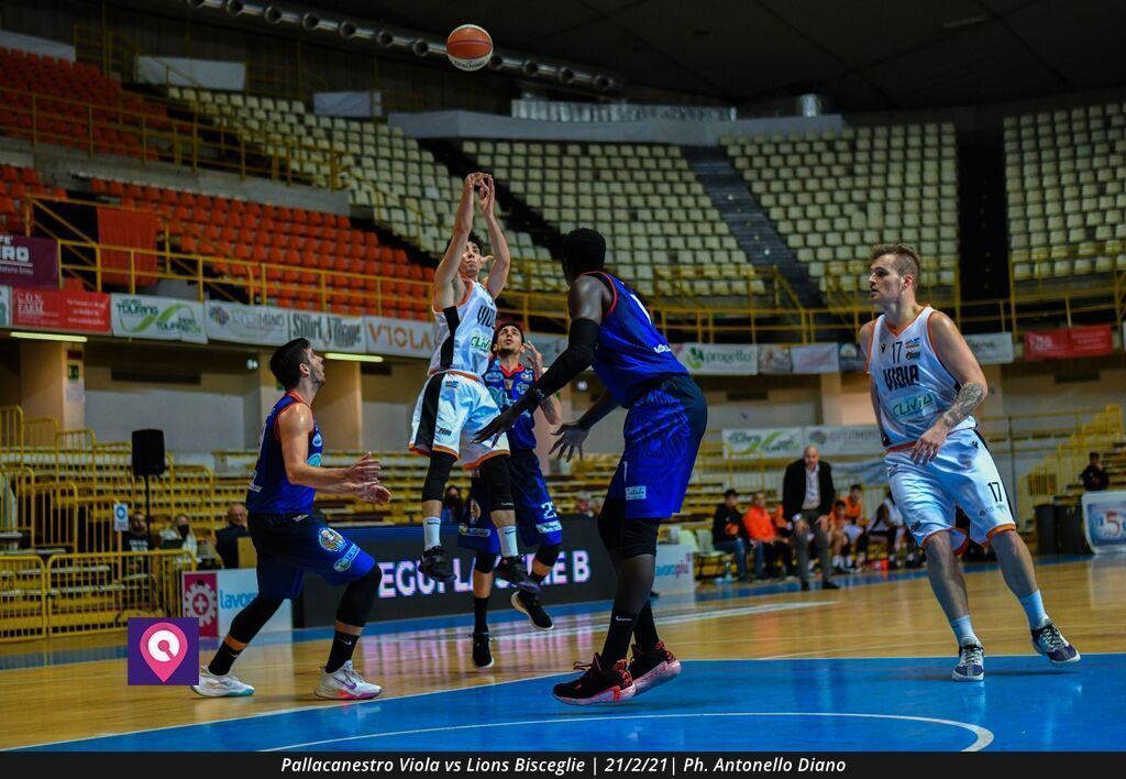 Viola Bisceglie (72)