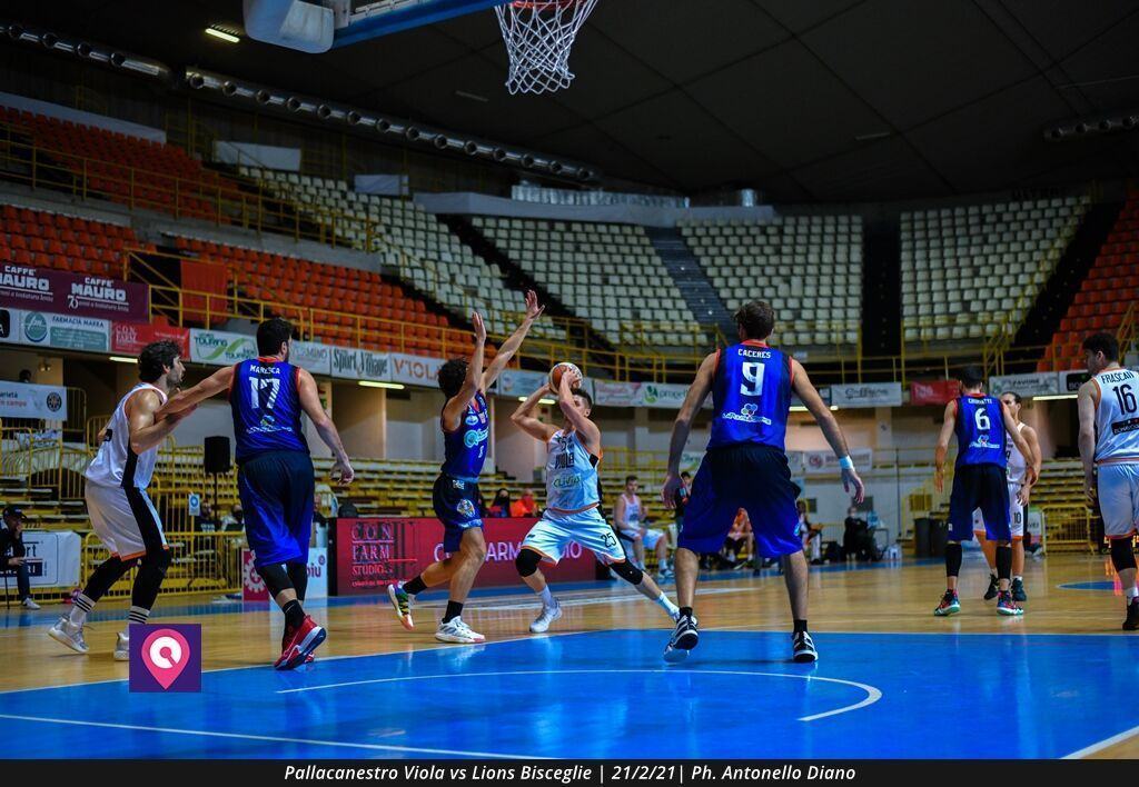 Viola Bisceglie (77)