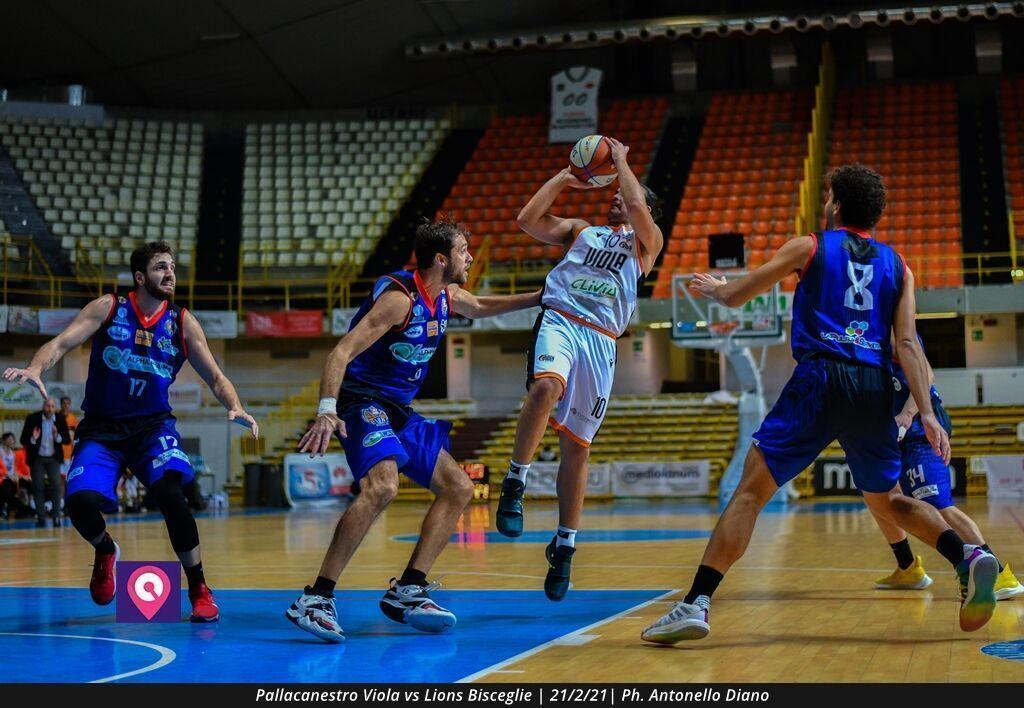 Viola Bisceglie (78)