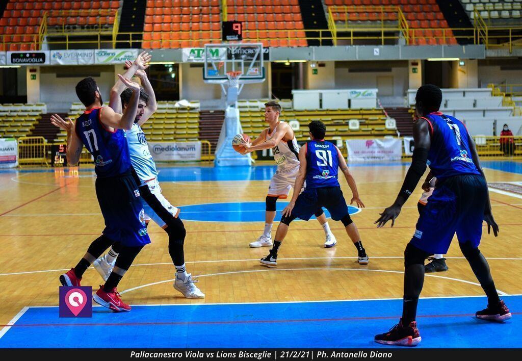 Viola Bisceglie (83)