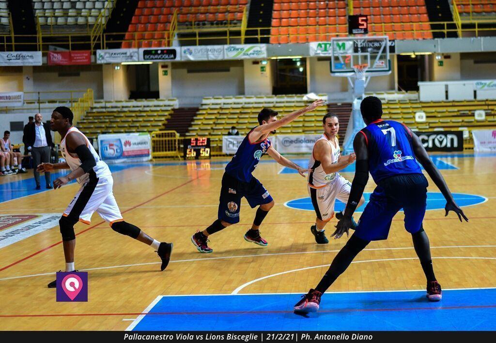 Viola Bisceglie (84)