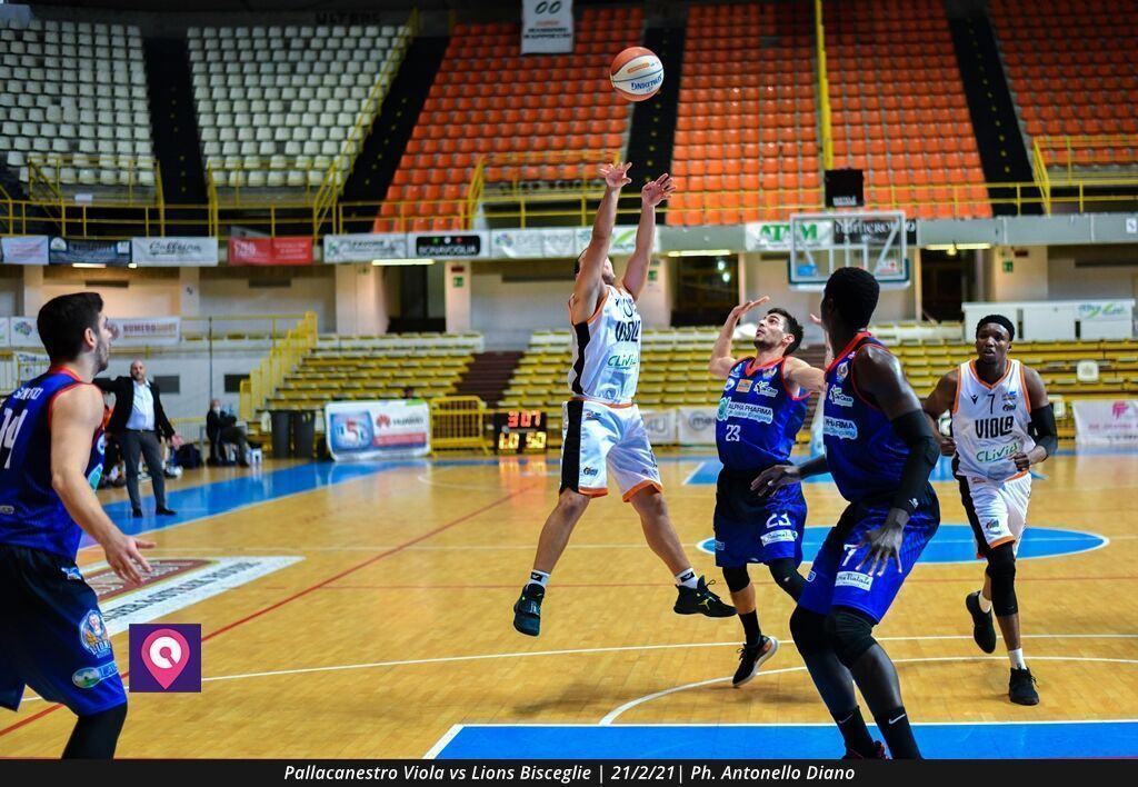 Viola Bisceglie (88)