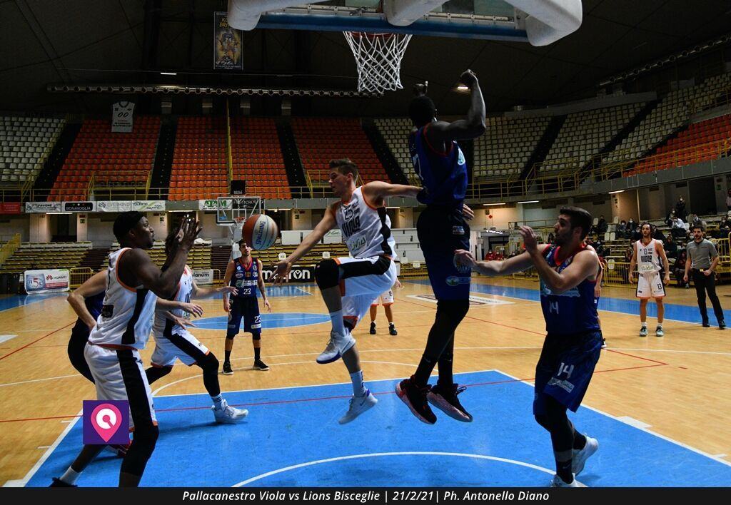 Viola Bisceglie (90)