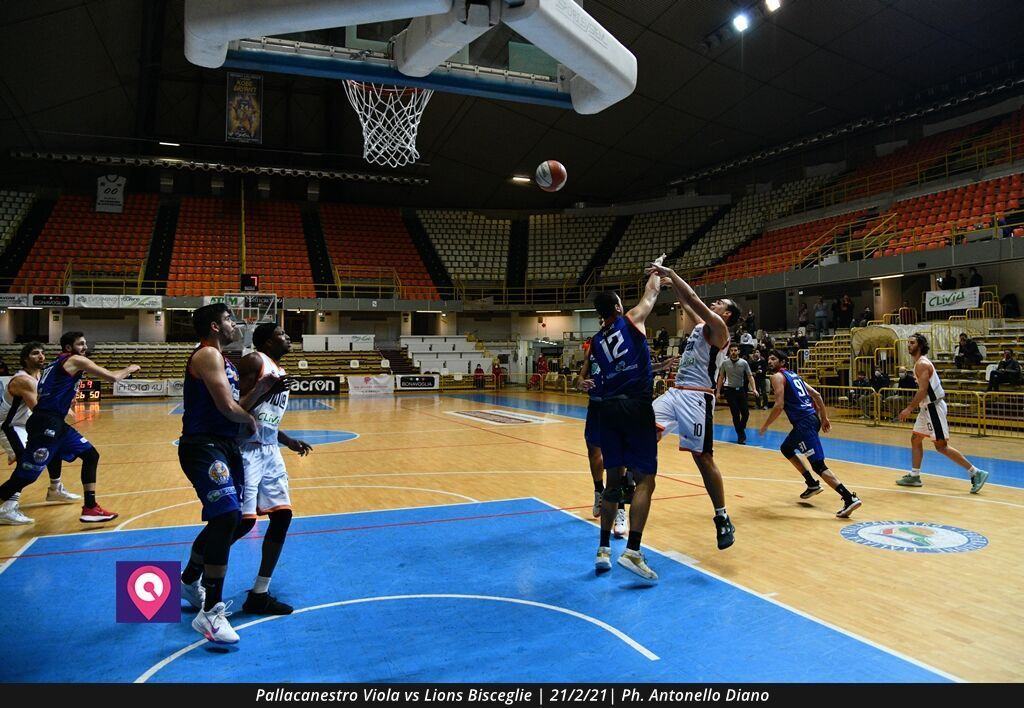 Viola Bisceglie (92)