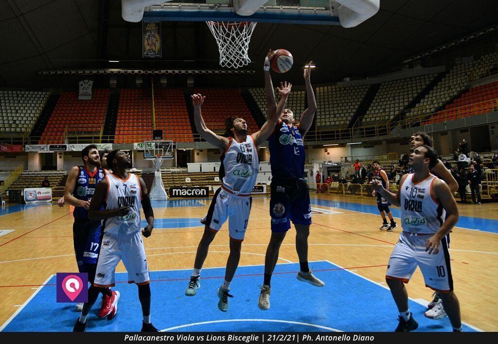 Viola Bisceglie (93)