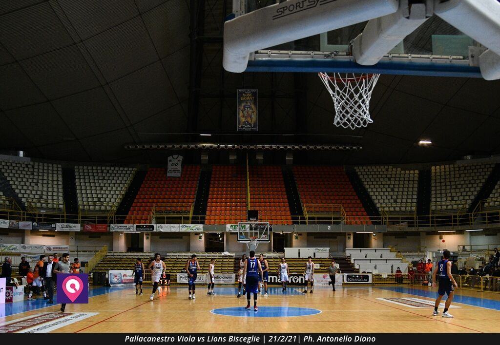 Viola Bisceglie (95)