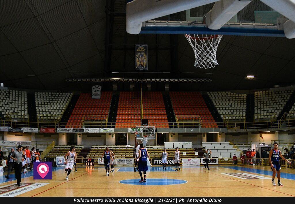 Viola Bisceglie (96)