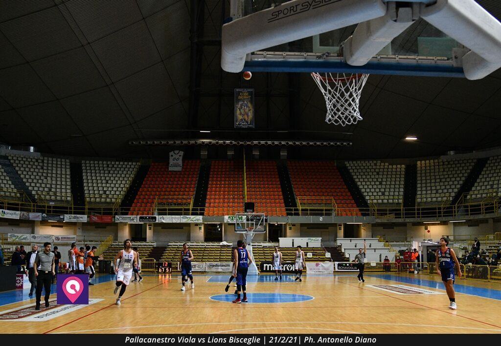Viola Bisceglie (97)