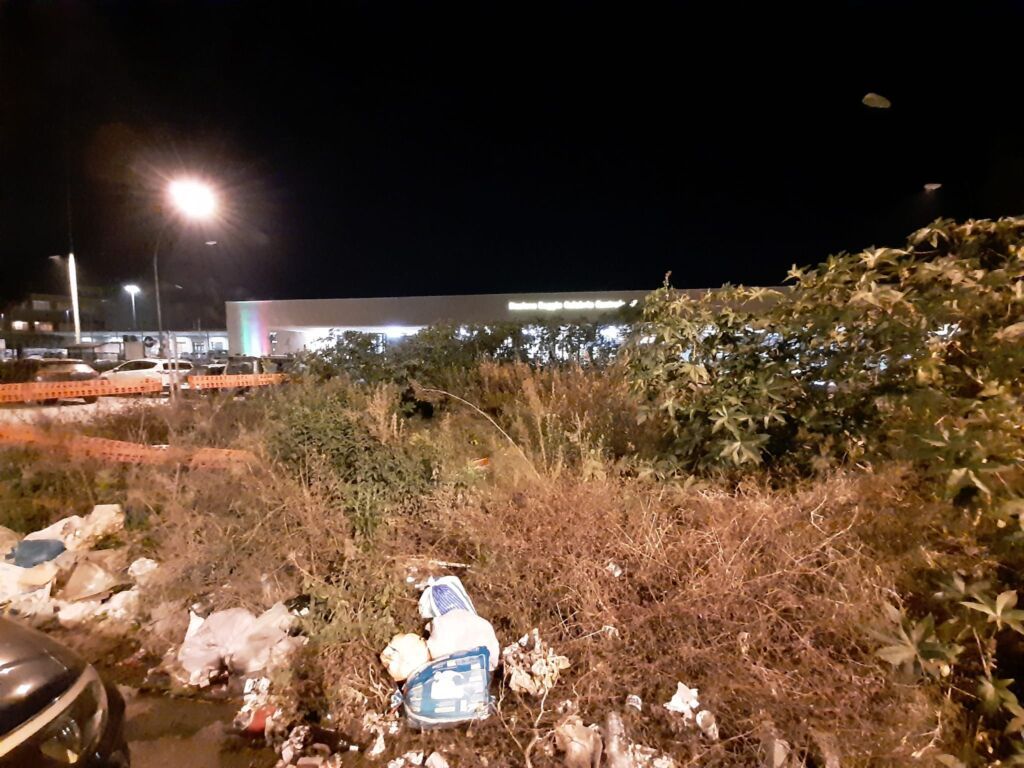 Erbacce Piazza Garibaldi 1