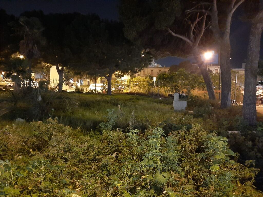 Erbacce Piazza Garibaldi 2