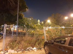 Erbacce Piazza Garibaldi 3