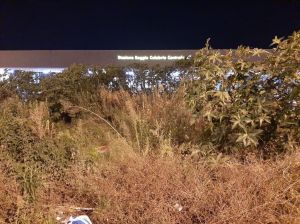 Erbacce Piazza Garibaldi