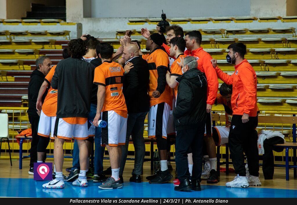 VIOLA AVELLINO (102)