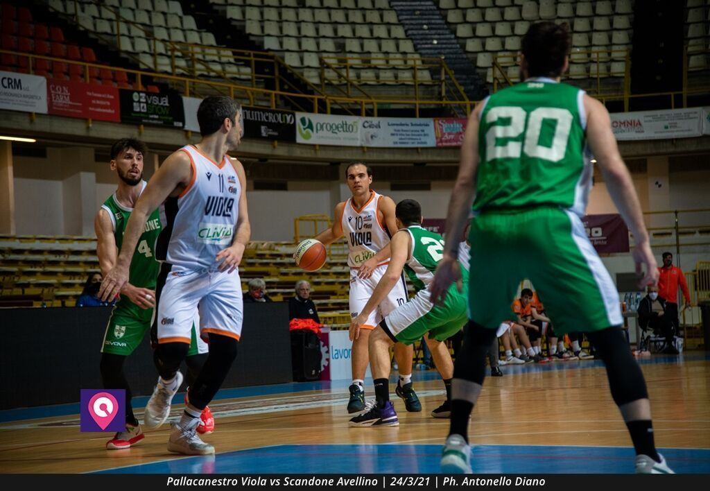 VIOLA AVELLINO (103)