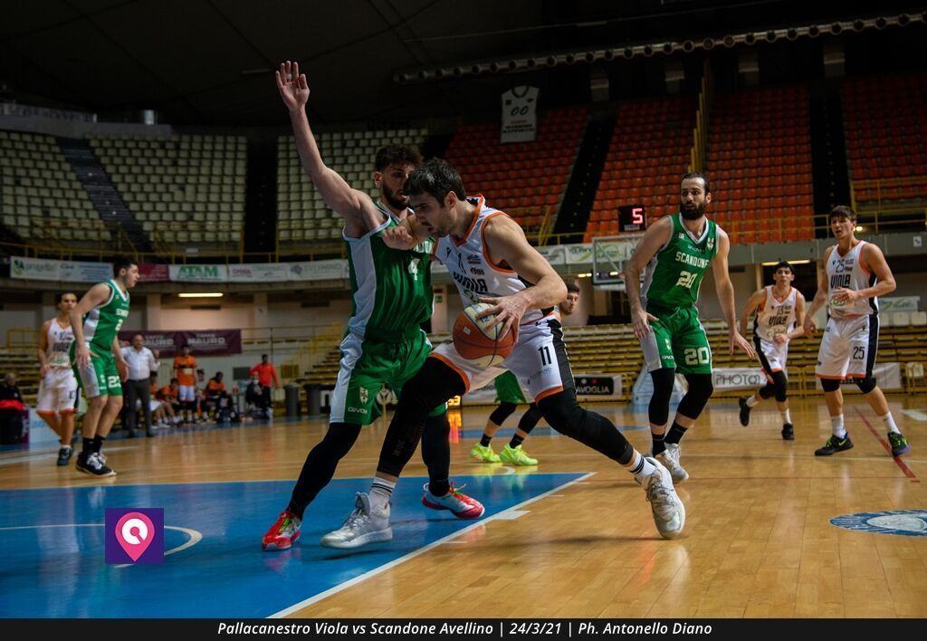 VIOLA AVELLINO (104)