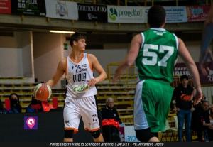 VIOLA AVELLINO (105)