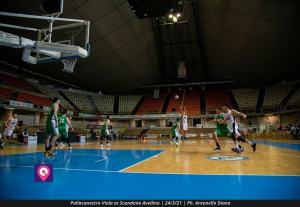 VIOLA AVELLINO (108)