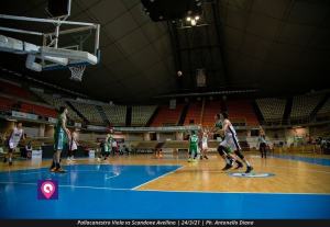 VIOLA AVELLINO (109)