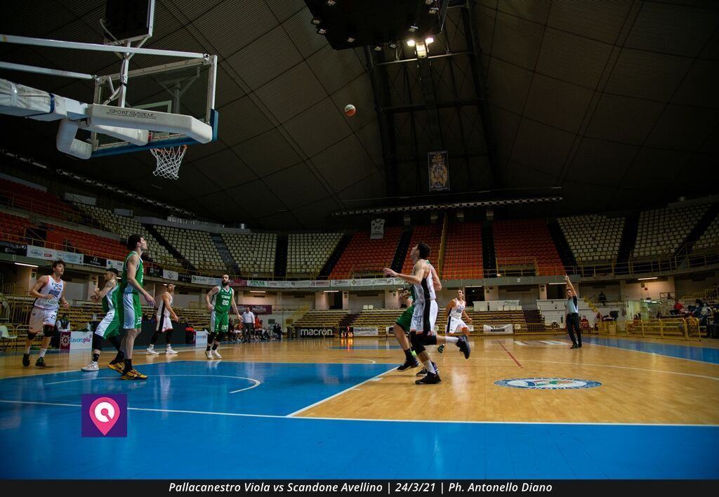 VIOLA AVELLINO (110)