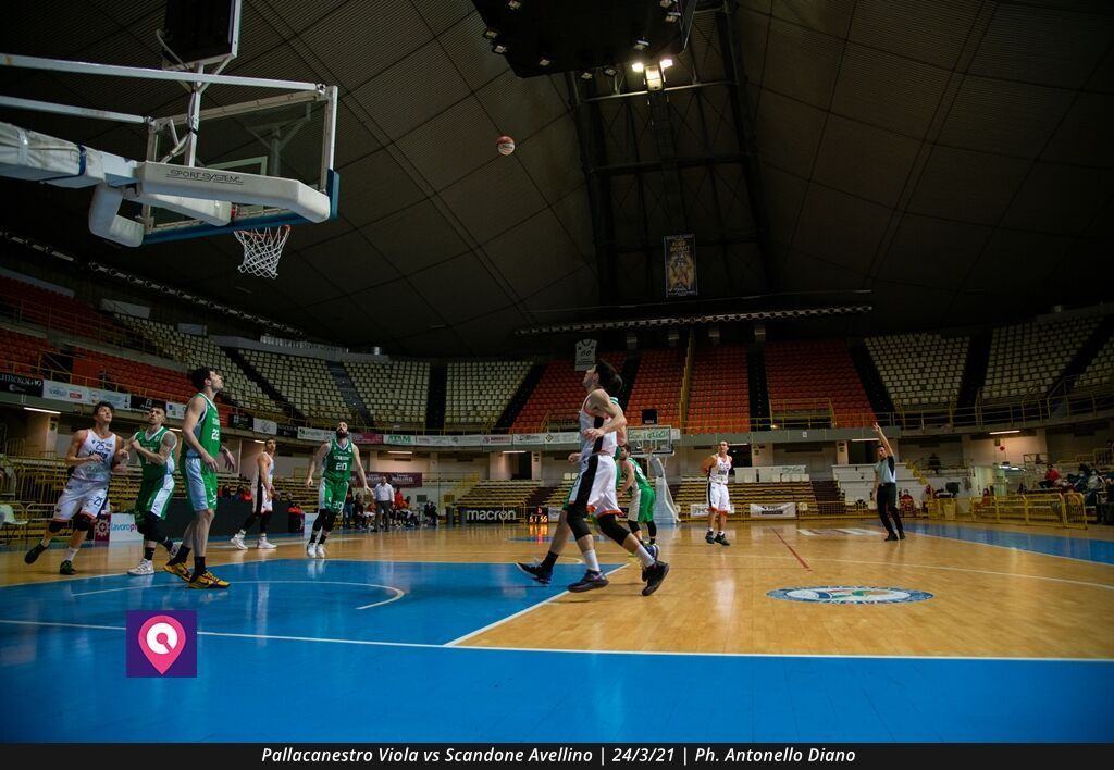 VIOLA AVELLINO (111)