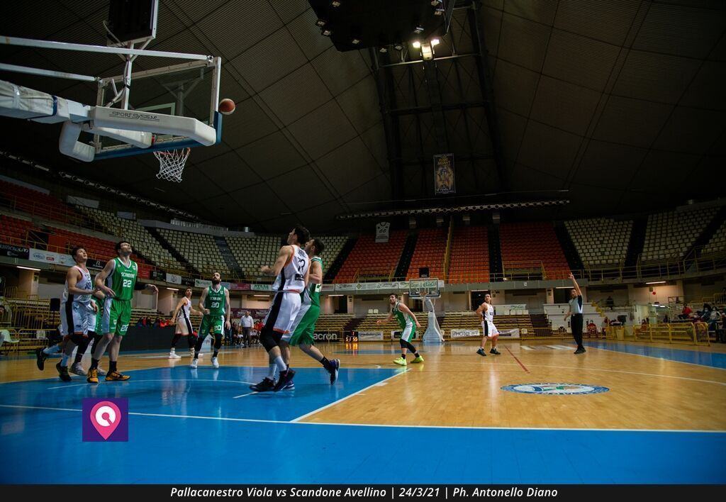 VIOLA AVELLINO (112)