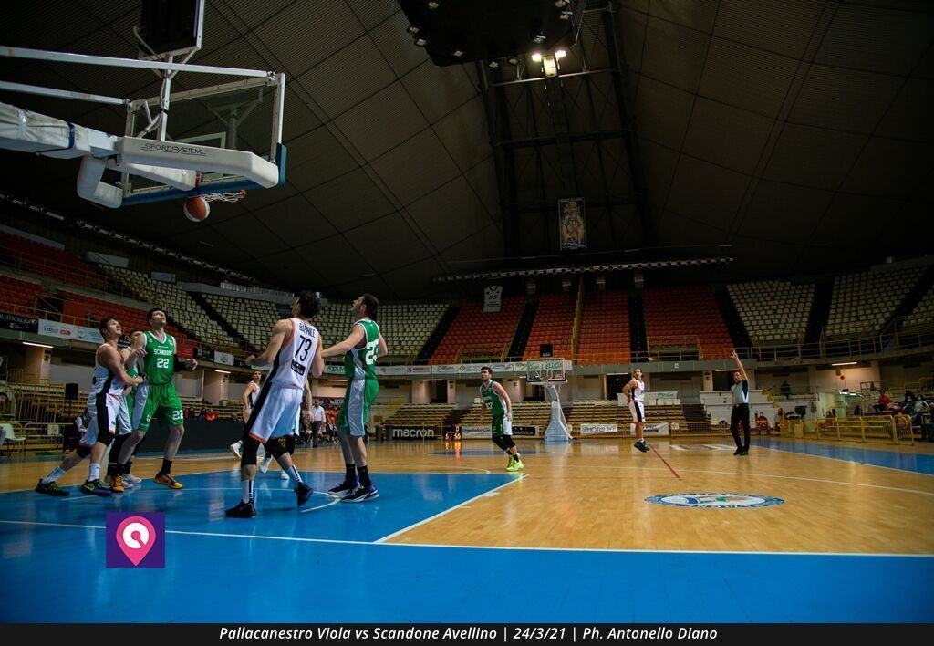 VIOLA AVELLINO (113)