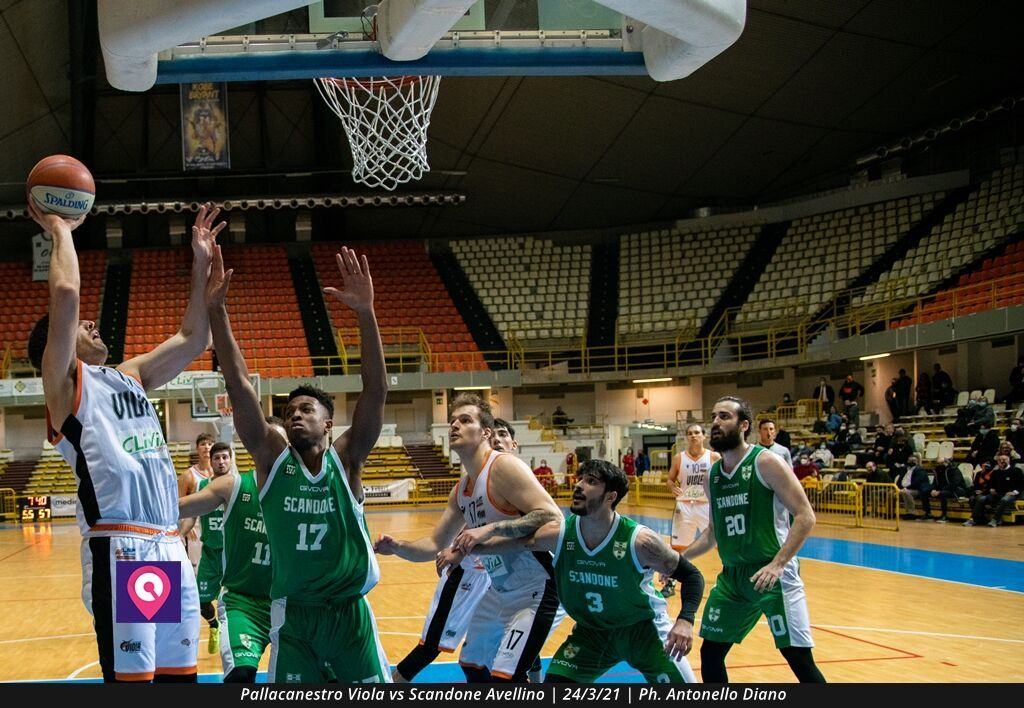 VIOLA AVELLINO (114)