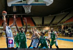 VIOLA AVELLINO (114)