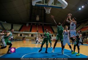 VIOLA AVELLINO (115)