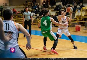 VIOLA AVELLINO (116)