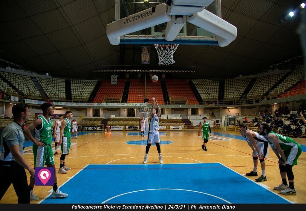 VIOLA AVELLINO (117)