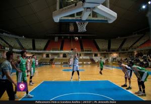 VIOLA AVELLINO (117)