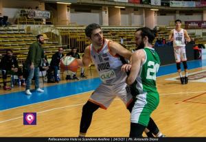 VIOLA AVELLINO (118)