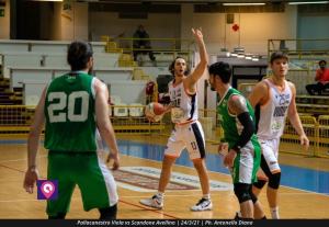 VIOLA AVELLINO (119)