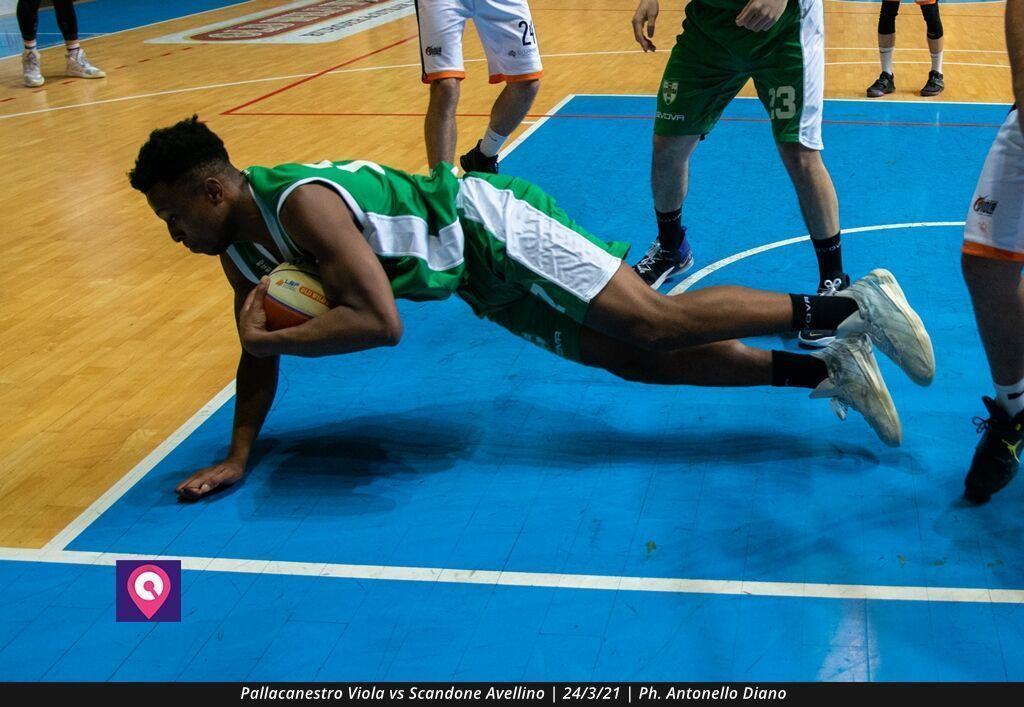 VIOLA AVELLINO (123)