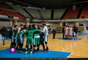 VIOLA AVELLINO (124)