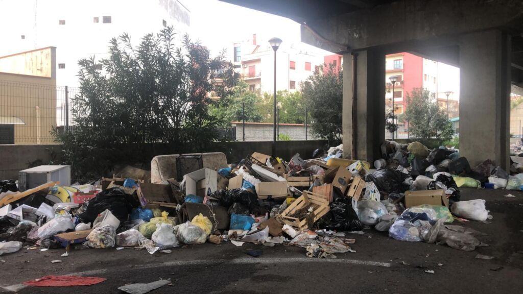 Rifiuti Ponte (4)