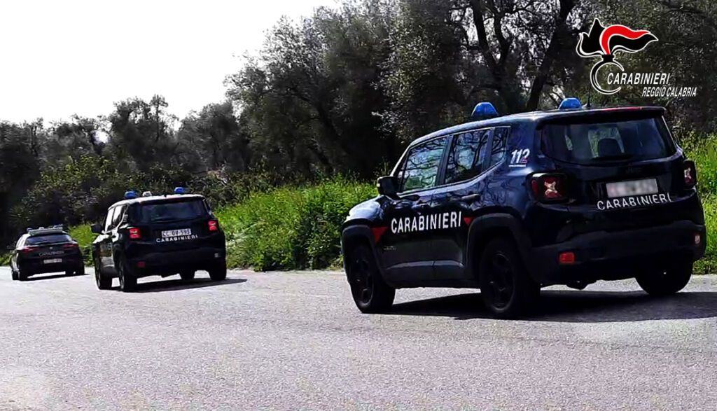 CONTROLLI DEI CARABINIERI ALLE AZIENDE AGRICOLE NEL TERRITORIO DELLA PIANA ELEVATE SANZIONI FINO A 14 000 EURO