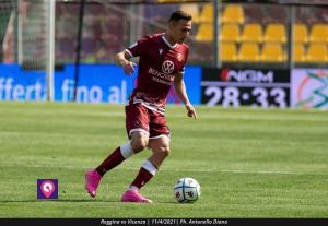 Reggina Edera azione