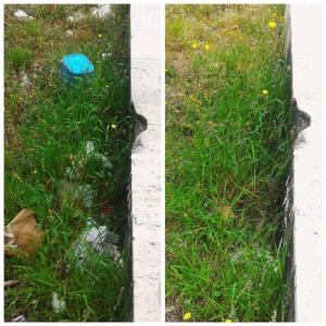 Plastic Free Lido Comunale Reggio Calabria 2