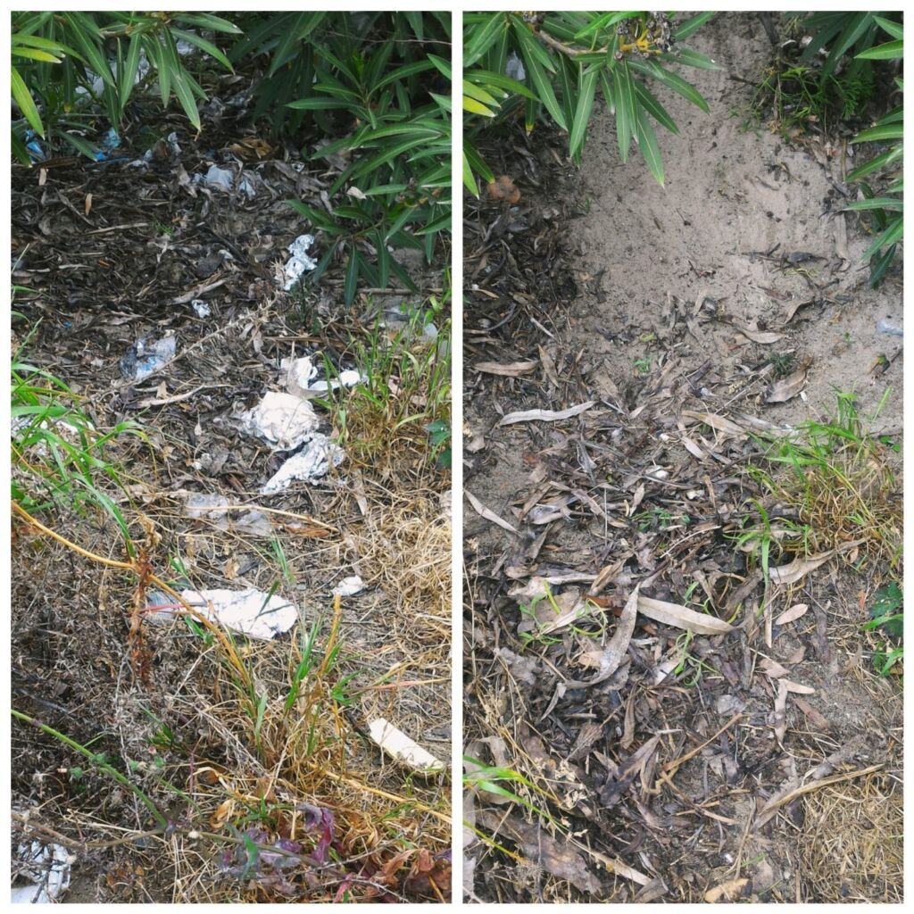 Plastic Free Lido Comunale Reggio Calabria 3