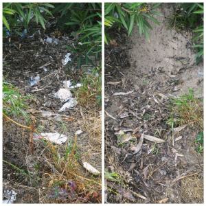 Plastic Free Lido Comunale Reggio Calabria 3