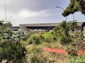 Pulizia Piazza Garibaldi Reggio Calabria 1