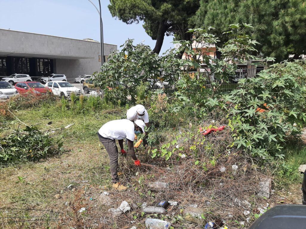 Pulizia Piazza Garibaldi Reggio Calabria 3