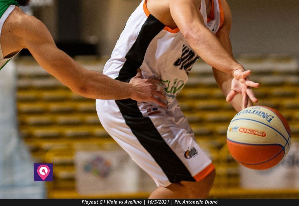 Playout Viola (13)