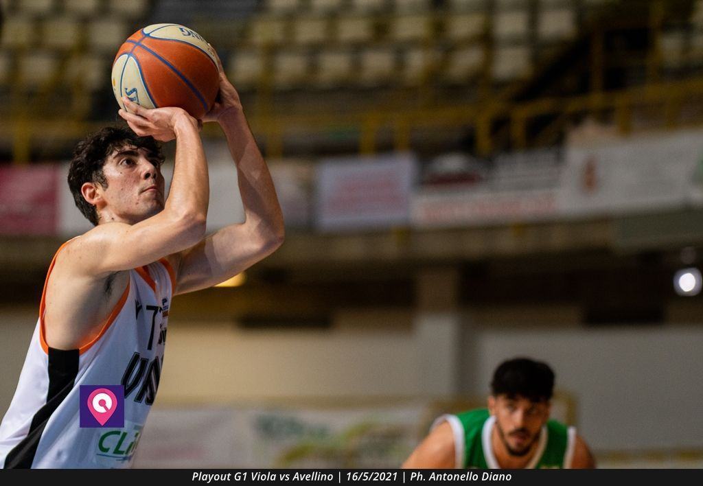 Playout Viola (14)