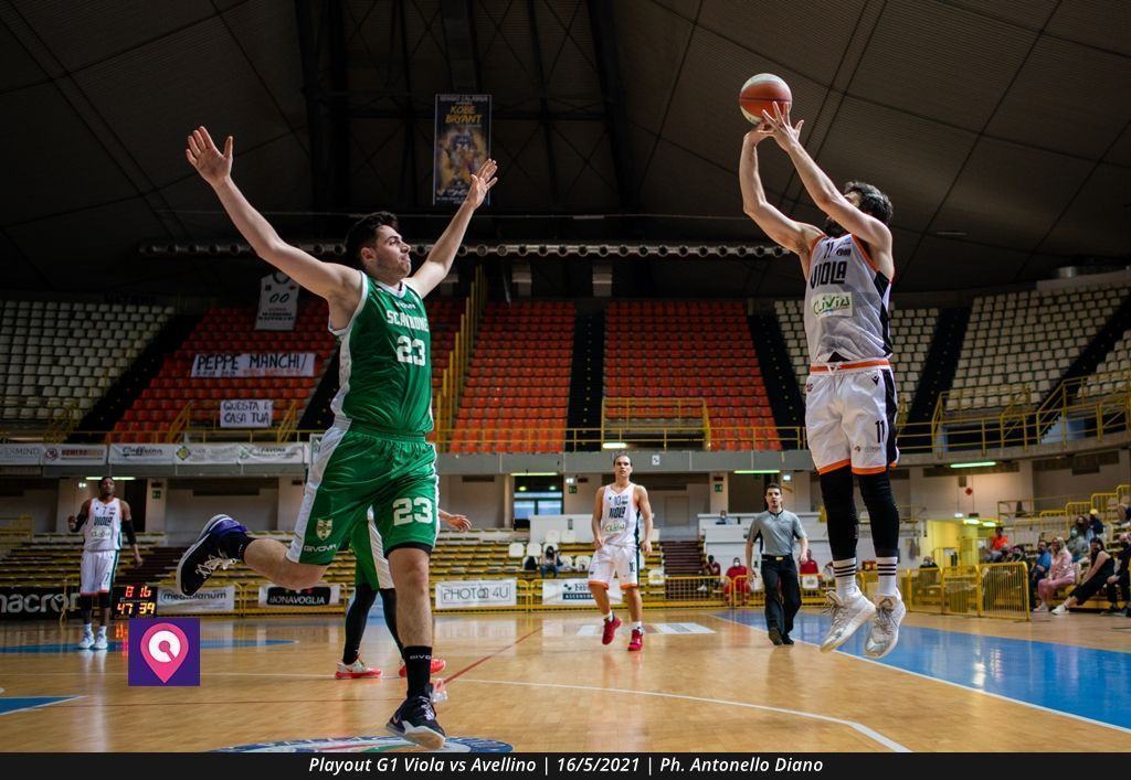 Playout Viola (39)