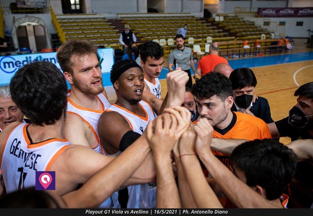 Playout Viola (53)
