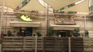 Crocodile Reggio Calabria (4)