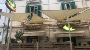 Crocodile Reggio Calabria (5)